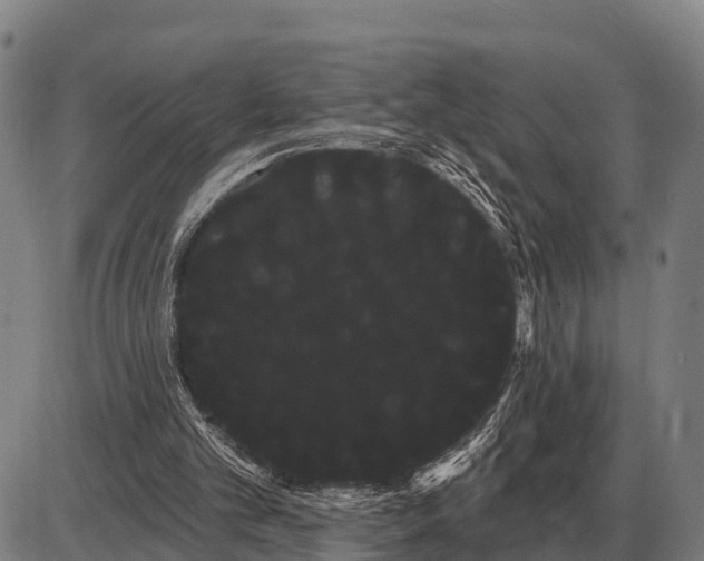 X0000085040101200703261322