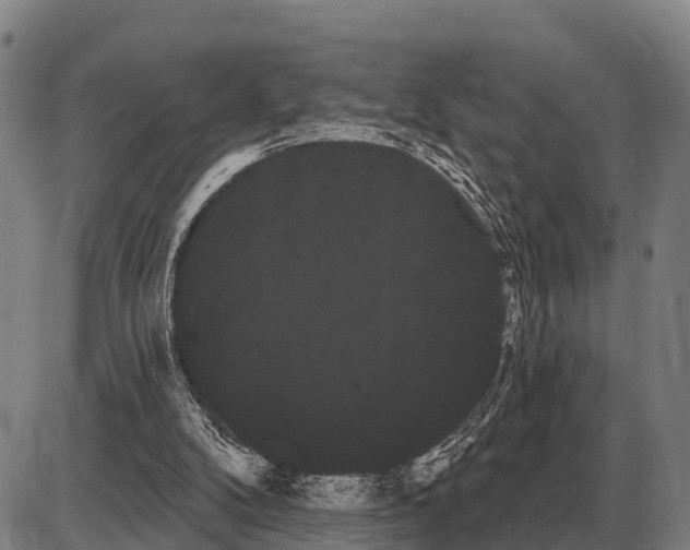 X0000085040104200703261322