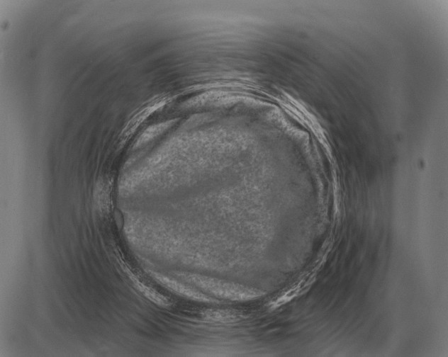 X0000085040105200703261322