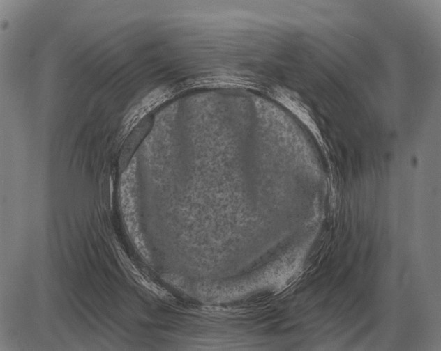 X0000085040109200703261322