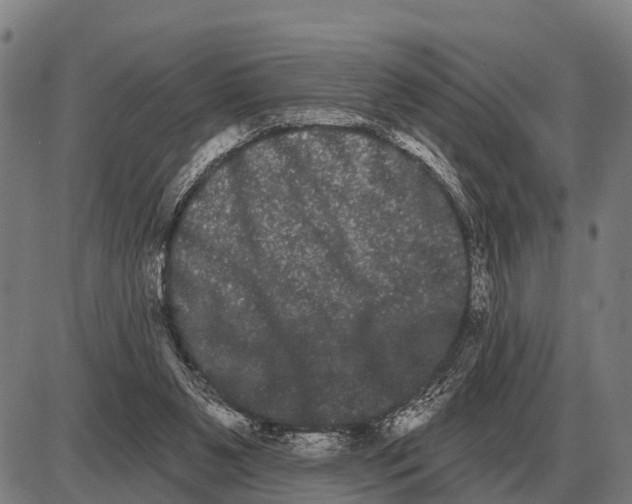 X0000085040111200703261322