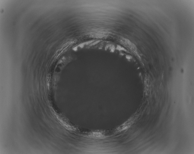 X0000085040114200703261322