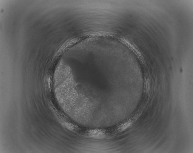 X0000085040117200703261322