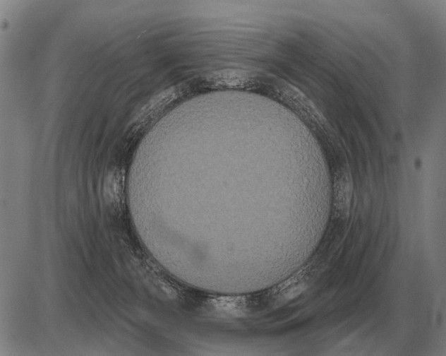 X0000085040126200703261322