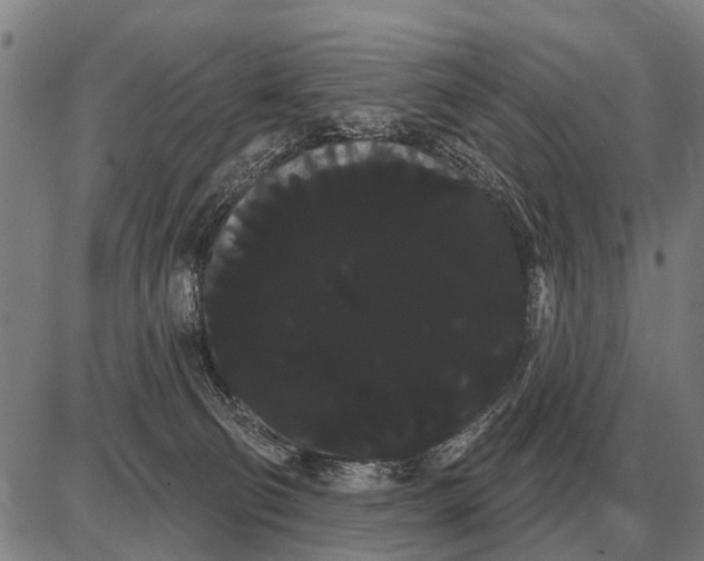 X0000085040130200703261322