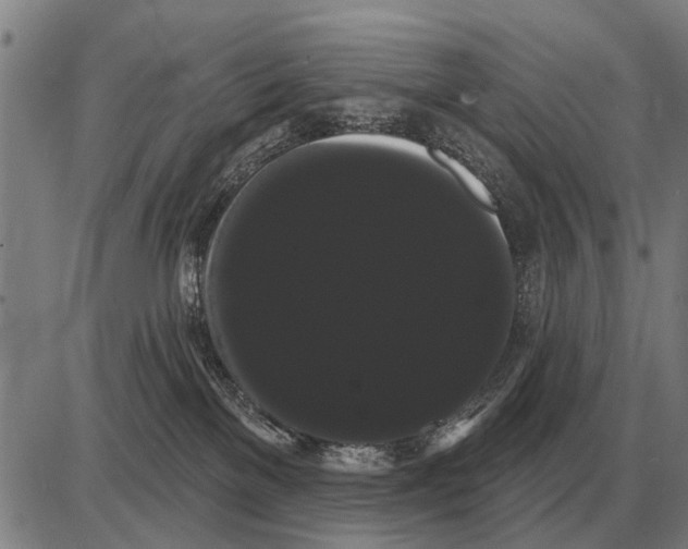 X0000085040137200703261322