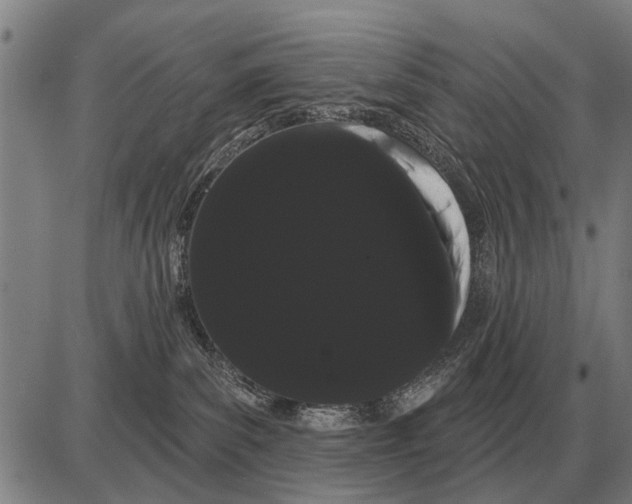 X0000085040139200703261322