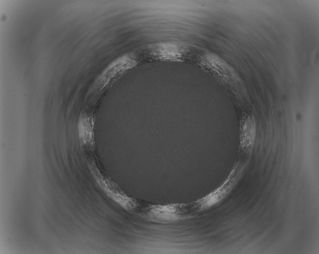 X0000085040140200703261322
