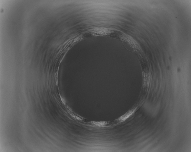 X0000085040143200703261321