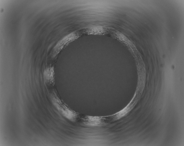 X0000085040144200703261321