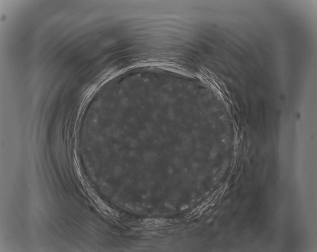X0000085040145200703261321