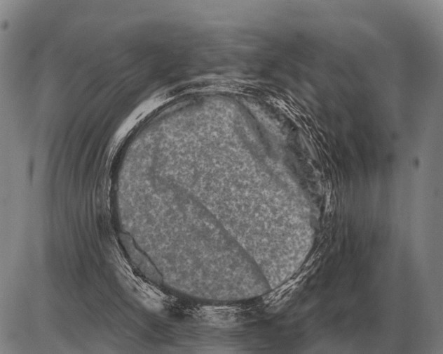 X0000085040150200703261321