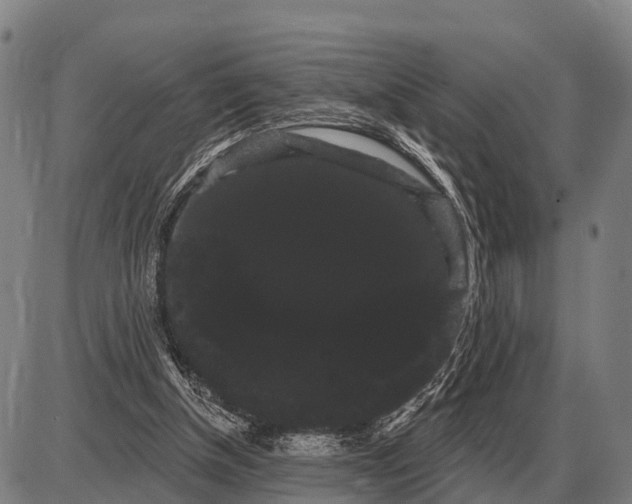 X0000085040154200703261321