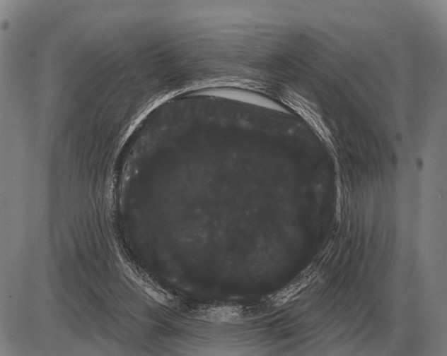 X0000085040156200703261321