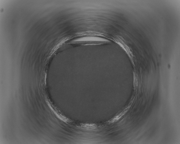 X0000085040157200703261321
