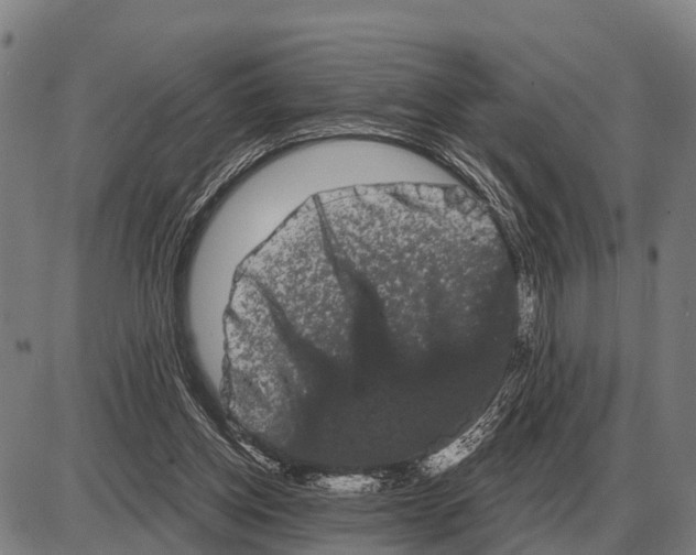 X0000085040158200703261321