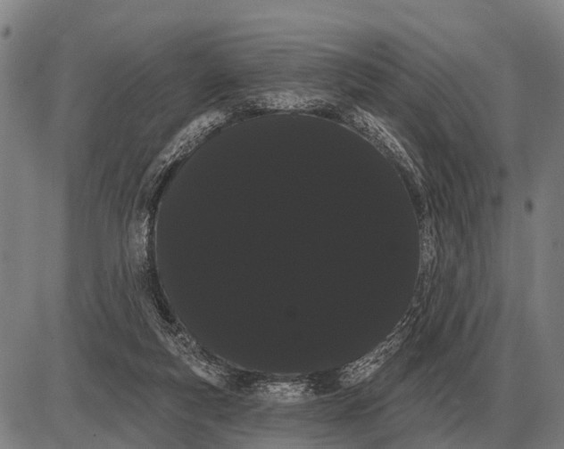 X0000085040163200703261321