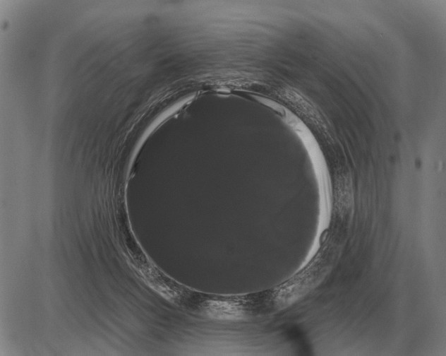 X0000085040167200703261321