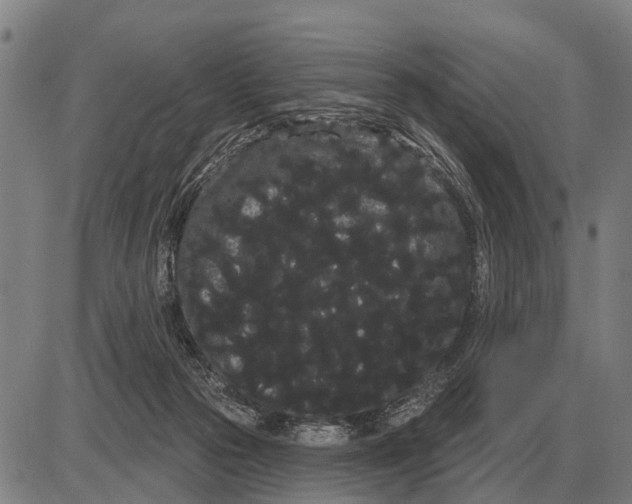 X0000085040169200703261321