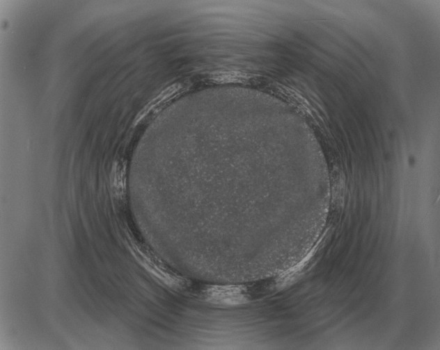 X0000085040179200703261321