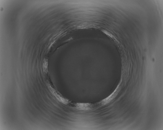 X0000085040192200703261321