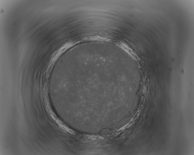 X0000085040193200703261321