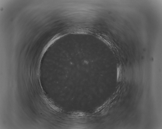 X0000085040195200703261321