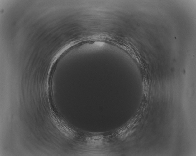 X0000085040196200703261321