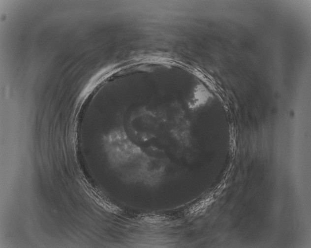 X0000085040199200703261321