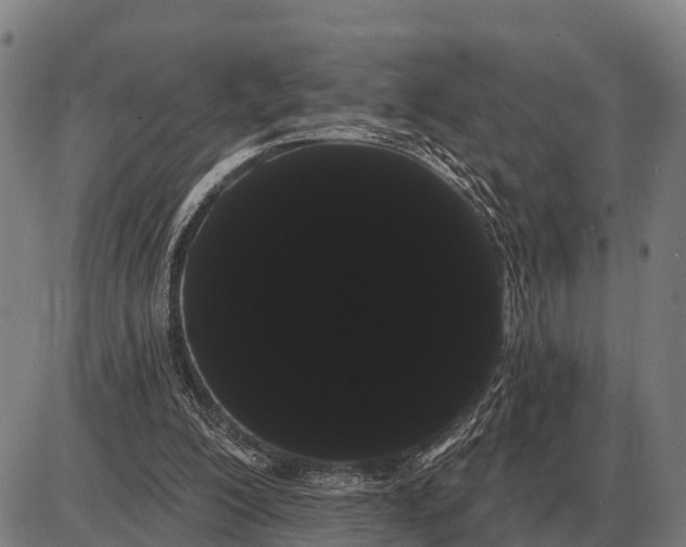 X0000085040200200703261321