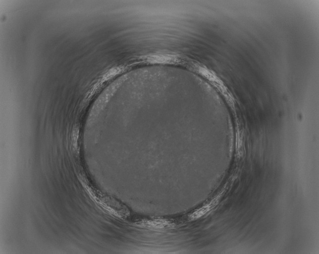 X0000085040201200703261321