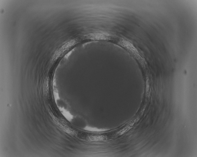 X0000085040202200703261320