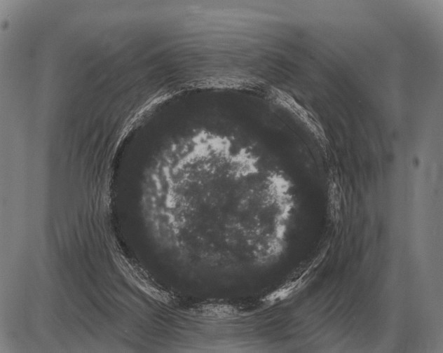 X0000085040203200703261320