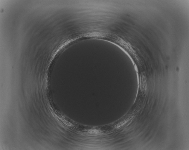 X0000085040204200703261320