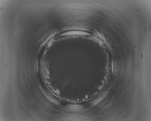 X0000085040205200703261320