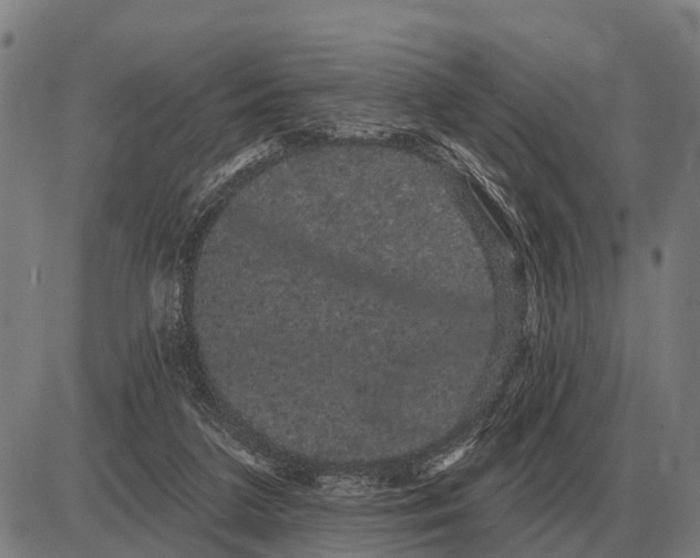 X0000085040211200703261320