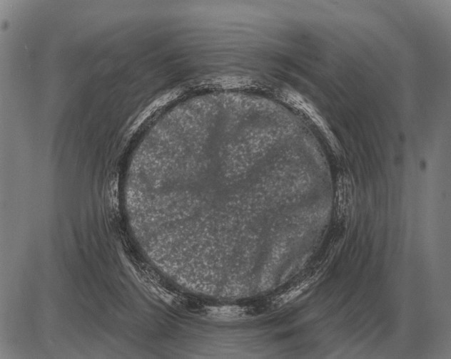 X0000085040212200703261320