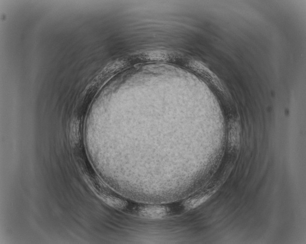 X0000085040213200703261320