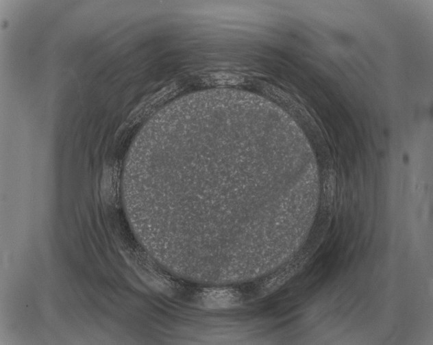 X0000085040218200703261320