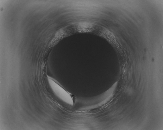 X0000085040219200703261320