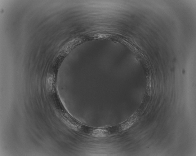 X0000085040222200703261320