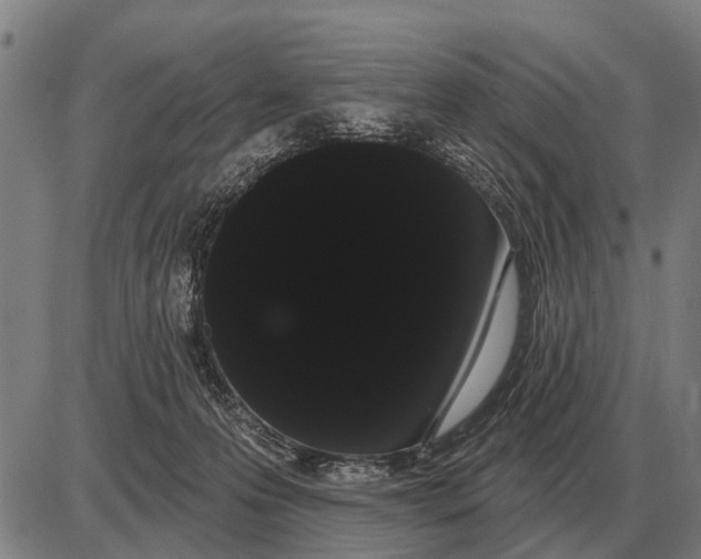 X0000085040223200703261320