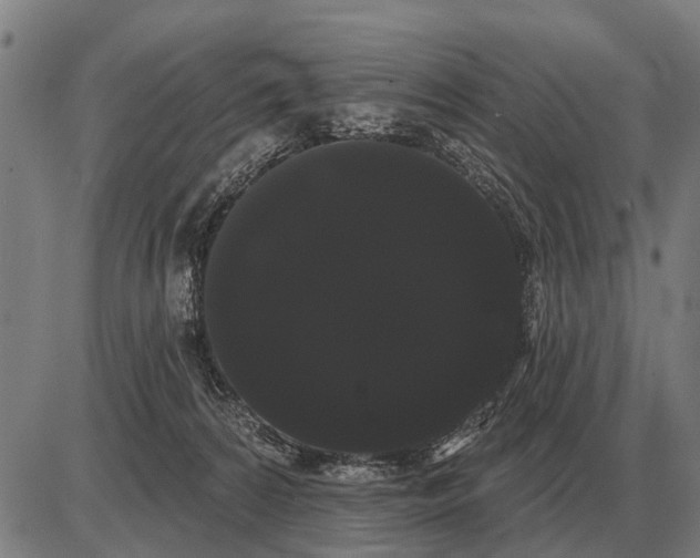 X0000085040224200703261320