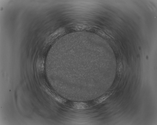 X0000085040226200703261320