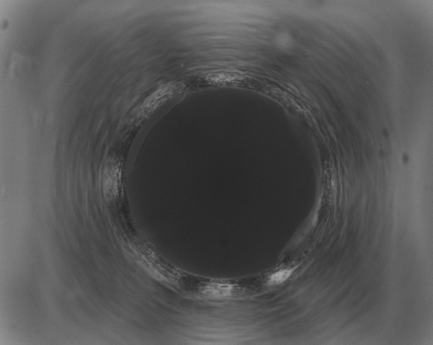 X0000085040227200703261320
