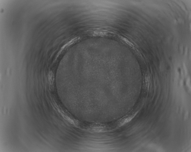 X0000085040228200703261320