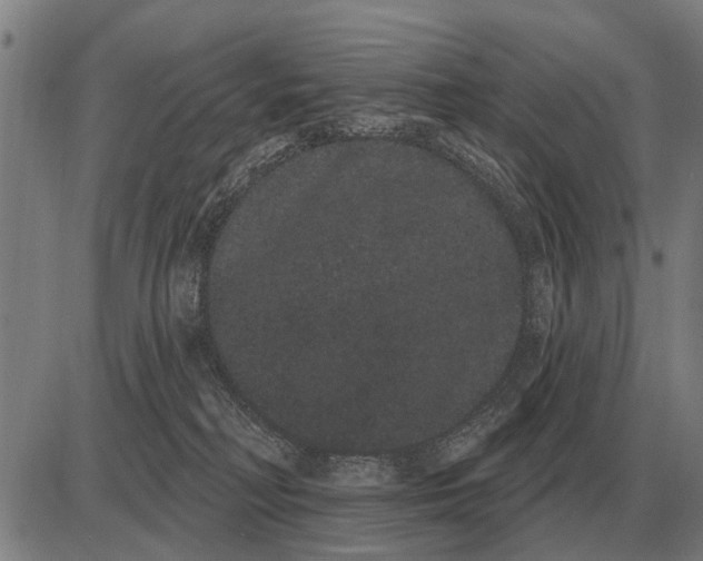 X0000085040230200703261320