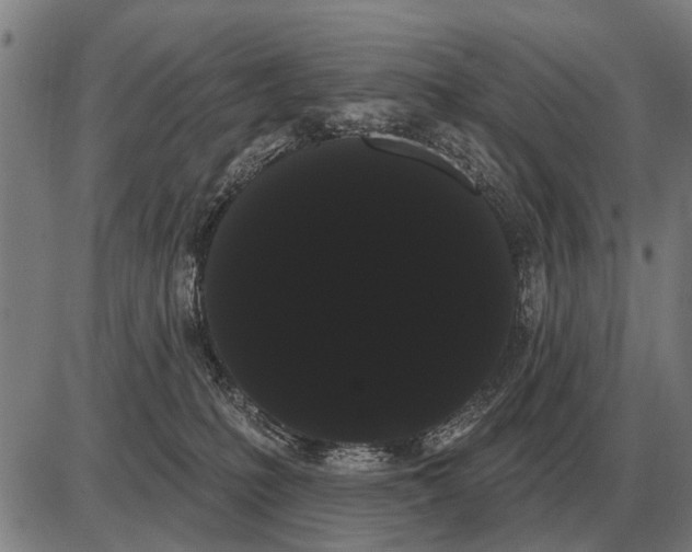 X0000085040231200703261320