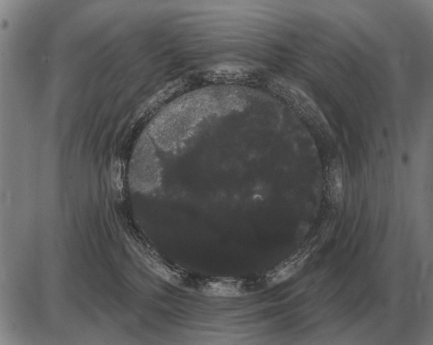 X0000085040232200703261320