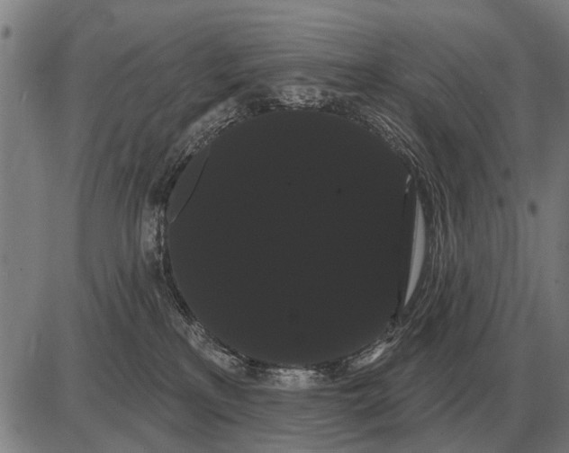 X0000085040233200703261320